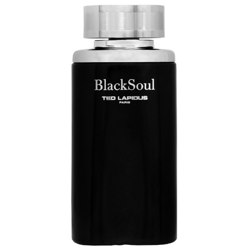 Ted Lapidus Black Soul EdT 100ml - Herrparfym