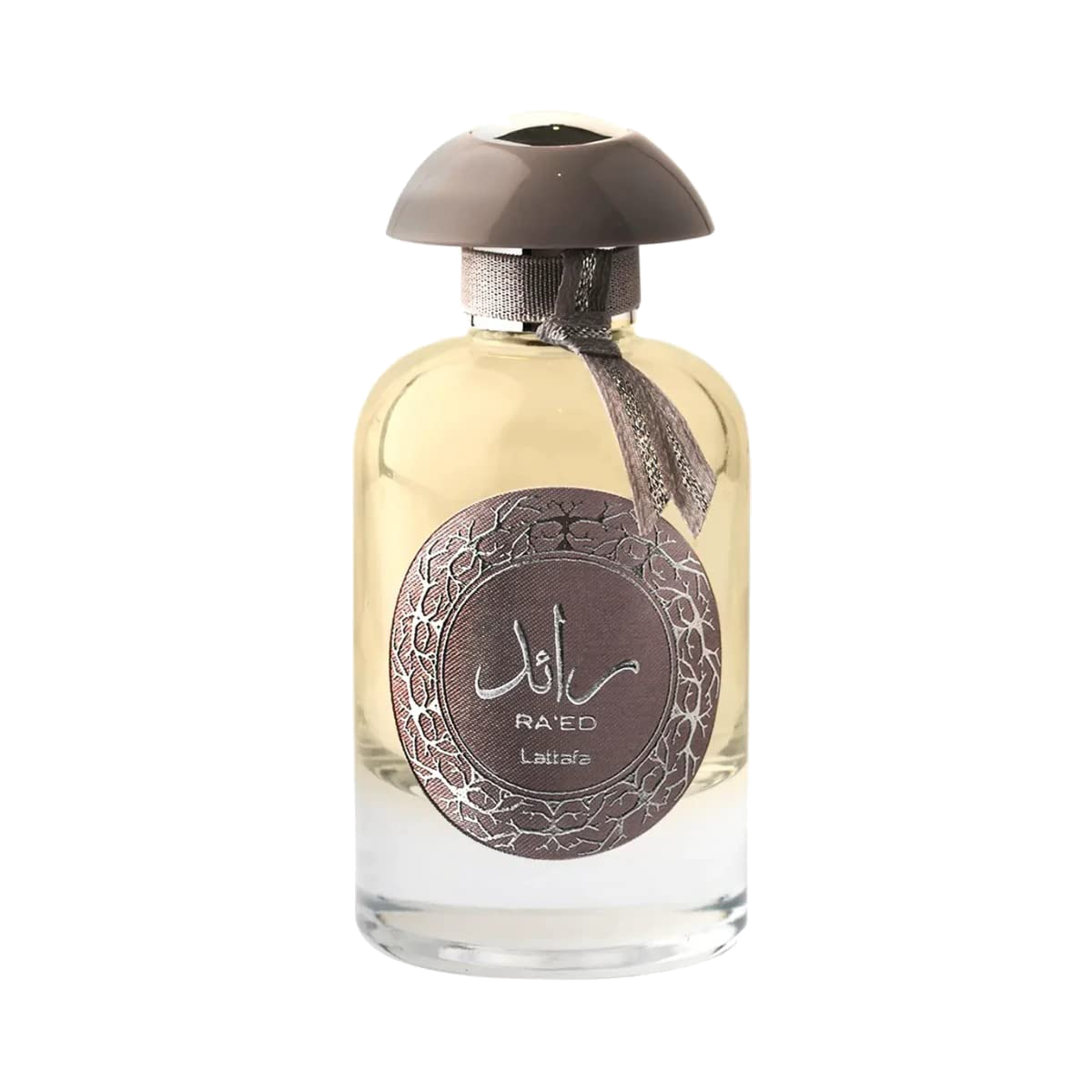 Lattafa Perfumes Ra'ed Silver EdP 100ml, 100  ml - Damparfym