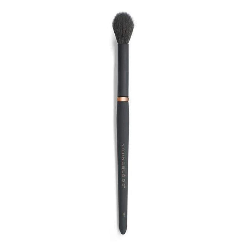Youngblood Makeup Brush YB7 Highlight Brush - Smink